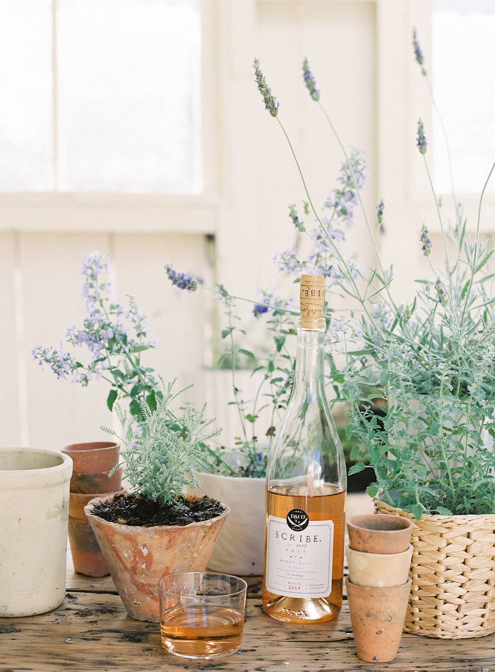 vin et jardinage chez bodega à los alamos | Coco Kelley
